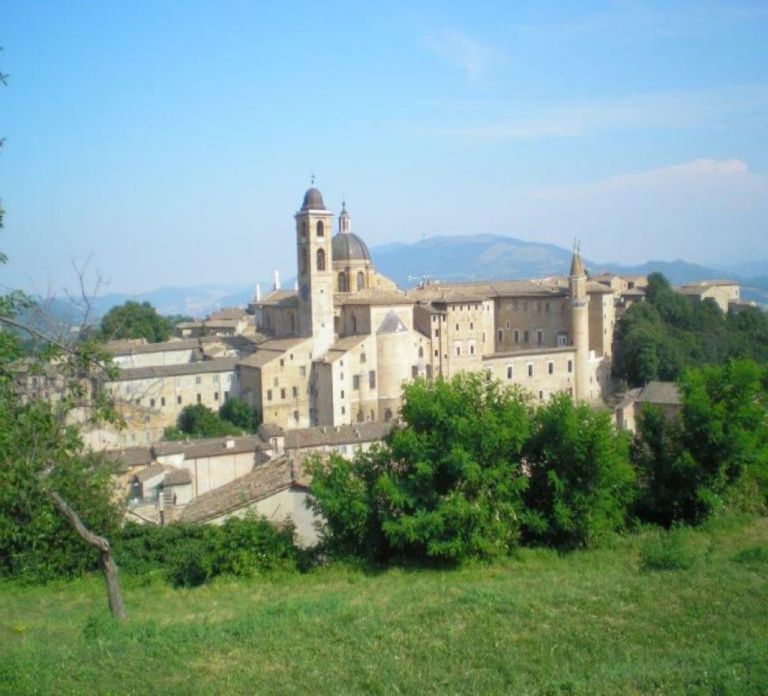 urbino
